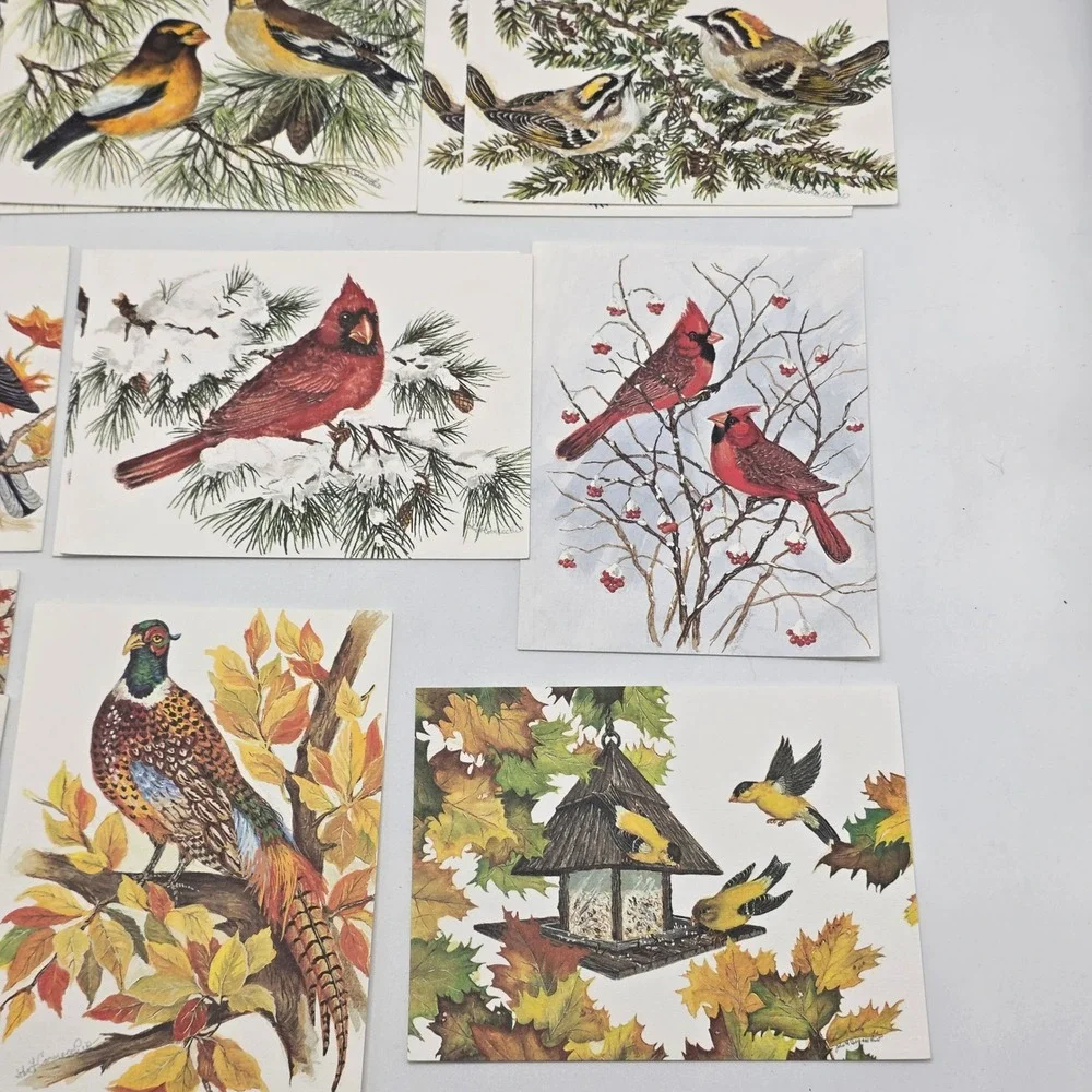 John Cornacchio Bird‎ Note Cards 16ct Multicolor Wildlife Art Stationery Set USA